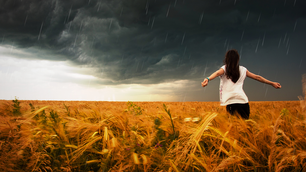Stories From The Field